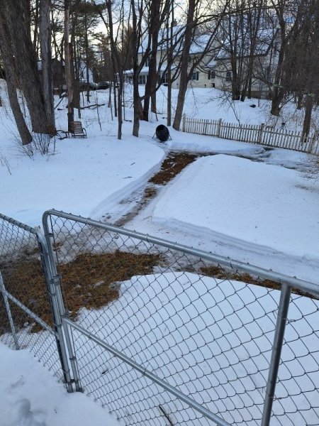 path to compost almost clear.jpg