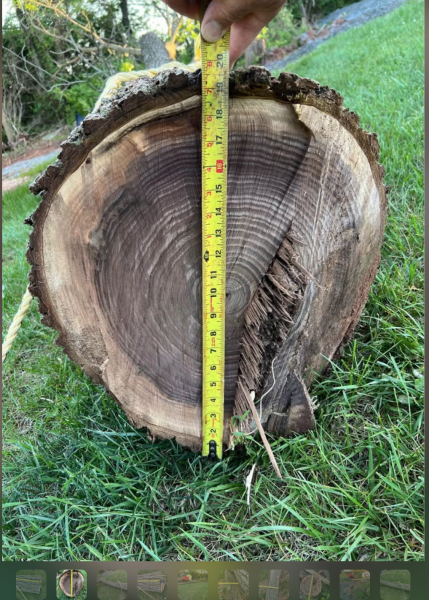 Screen Shot 2025-05-01 at 4.37.36 PM.png