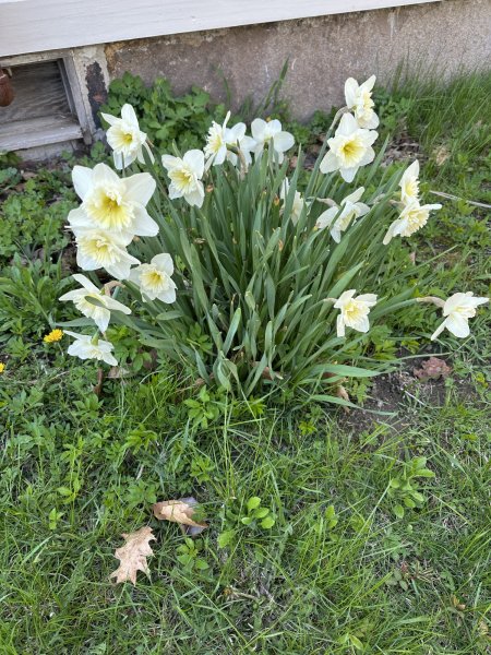 IMG_5767.jpeg