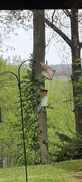 20250503_171702.jpg