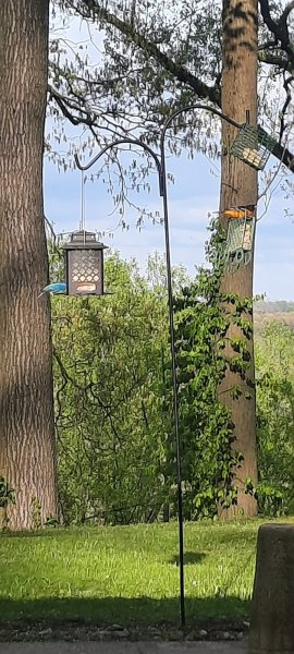 20250505_183855.jpg