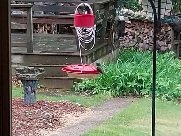 IMG_20250510_082835.jpg