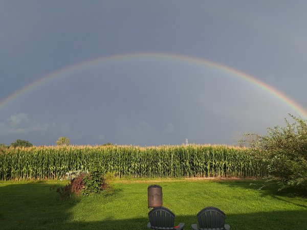 The beach out back.jpg