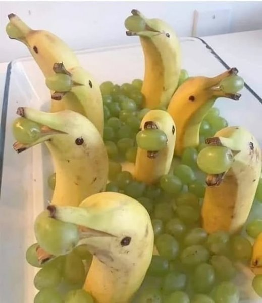 495375259_1138827901620346_5547097677522350564_n.jpg