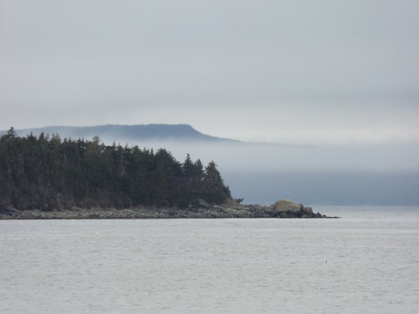 DSCF2032.JPG