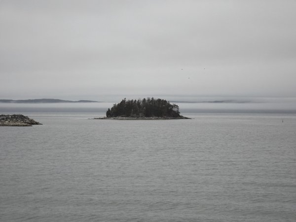 DSCF2027.JPG