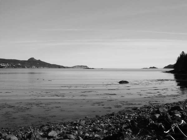 DSCF2168.JPG