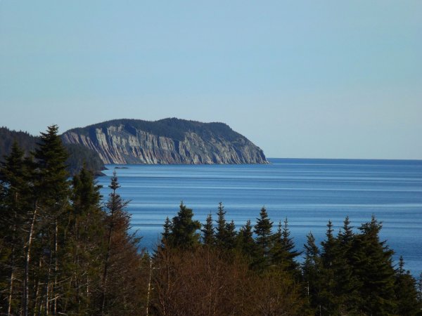 DSCF2156.JPG