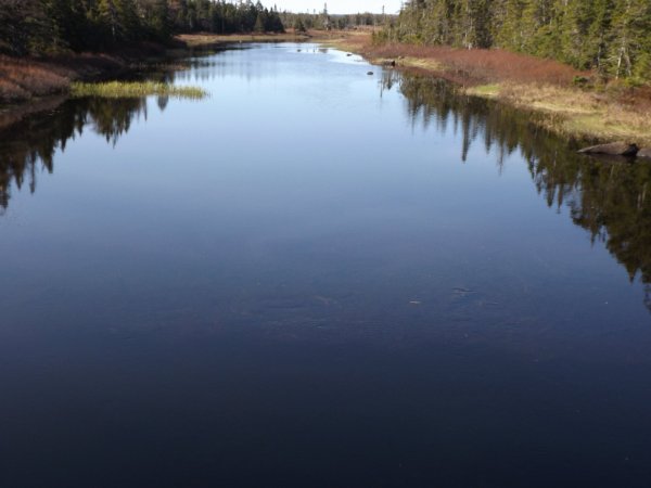 DSCF2174.JPG