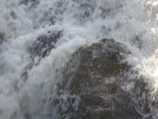 DSCF2184.JPG