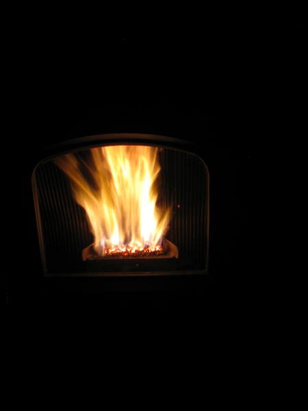 IMG_2335.jpg