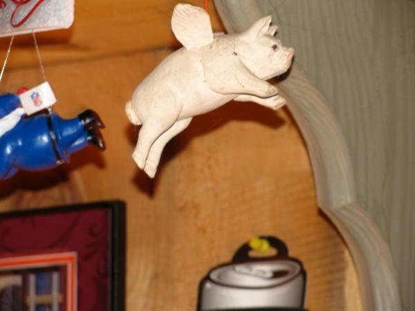 IMG_2336.jpg