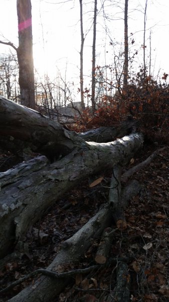 20150117_092314.jpg