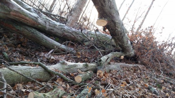 20150117_092328.jpg