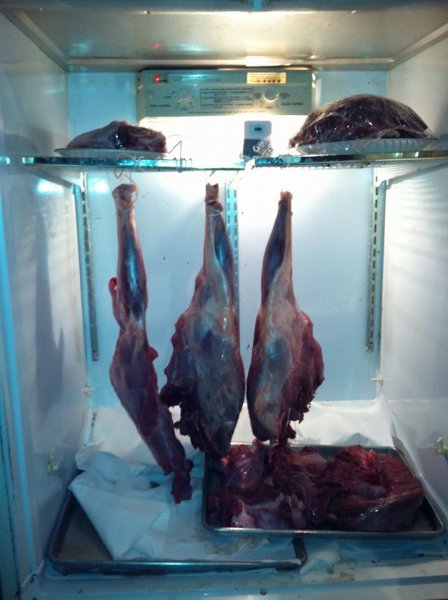 agingvenison.jpg