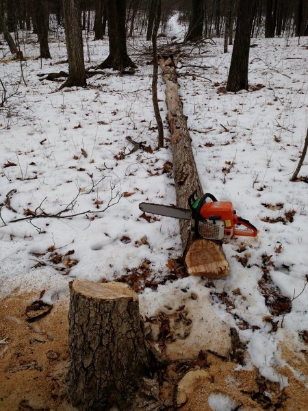 IMG_20150124_125828454.jpg