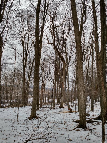 IMG_20150124_125848225_HDR.jpg