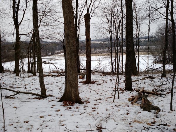 IMG_20150124_130836789.jpg