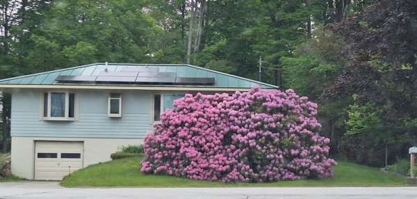 Rhodie from afar for scale.jpg