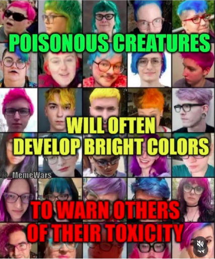 Screen Shot 2025-02-21 at 11.09.18 PM.png