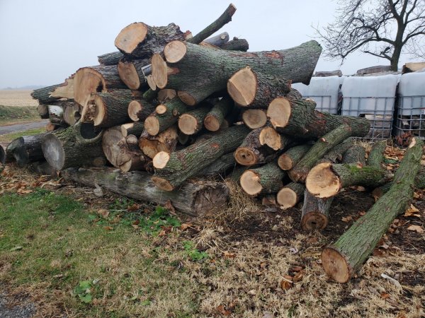 Log delivery 11-25 East pile 2.jpeg