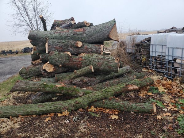 Log delivery 11-25 East pile 3 .jpeg