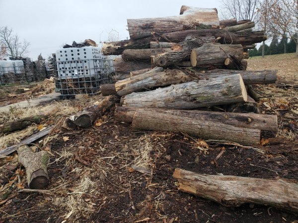 Log delivery 11-25 West pile 1 peg.jpeg