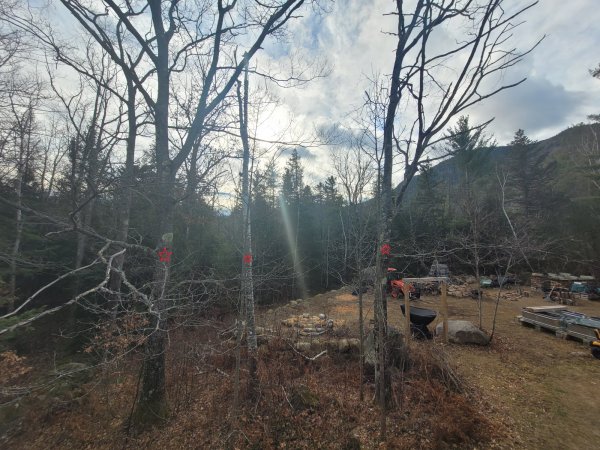 20251122_102119 2.jpg