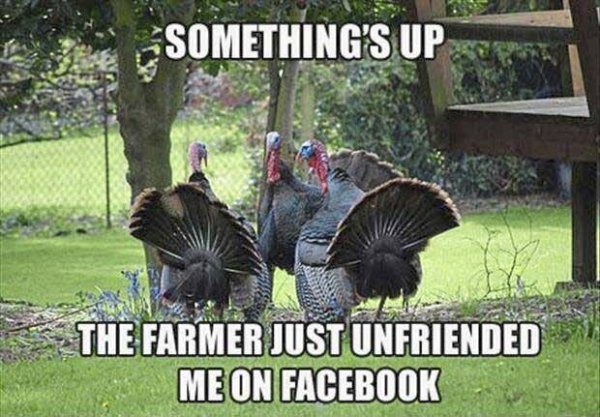 6795395_web1_gtr-meme-farmer-112322.jpg