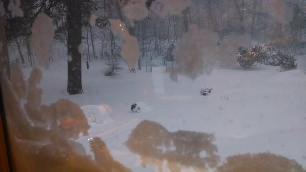 2015-01-27 07.28.50.jpg