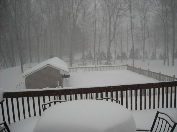 2015 Blizzard 5.JPG