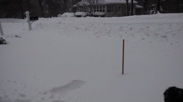 2015-01-27 10.46.48.jpg