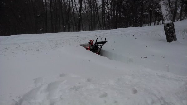 2015-01-27 10.57.49.jpg