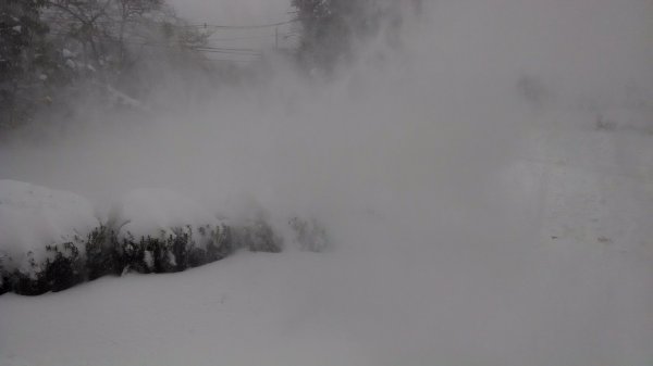 2015-01-27 10.59.40.jpg