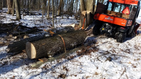 20150127_110156.jpg