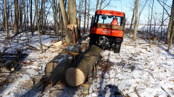 20150127_110205.jpg