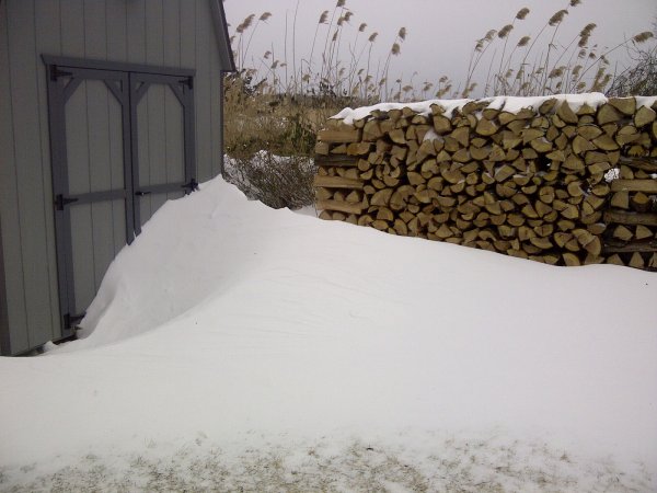 Firewood1 Shed_resize.jpg