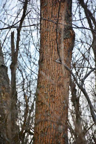 DSC_1944 (683x1024).jpg