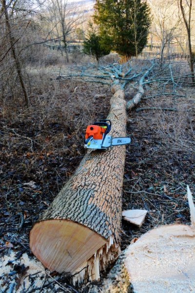 DSC_1952 (683x1024).jpg