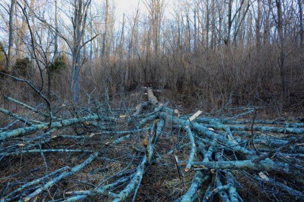 DSC_1953 (1024x683).jpg