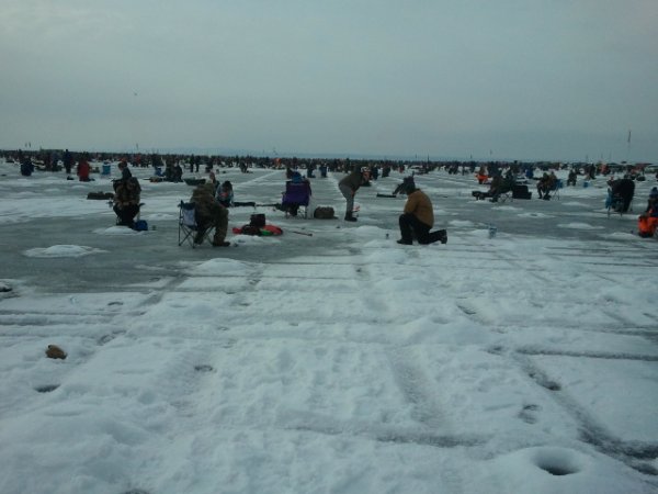 2015-01-24 12.15.12.jpg