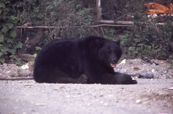 Dave940web.jpg