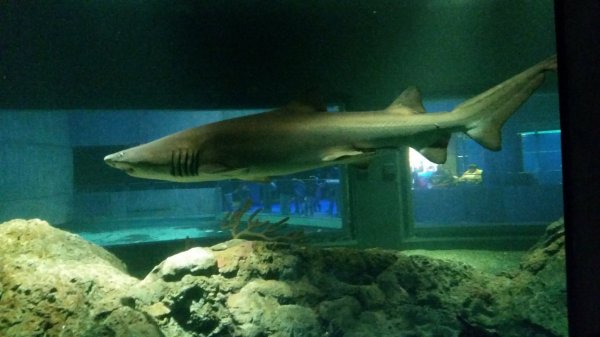 20150130_123837.jpg