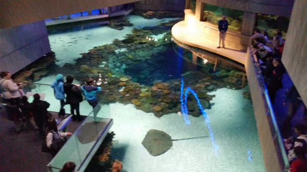 20150130_114318.jpg