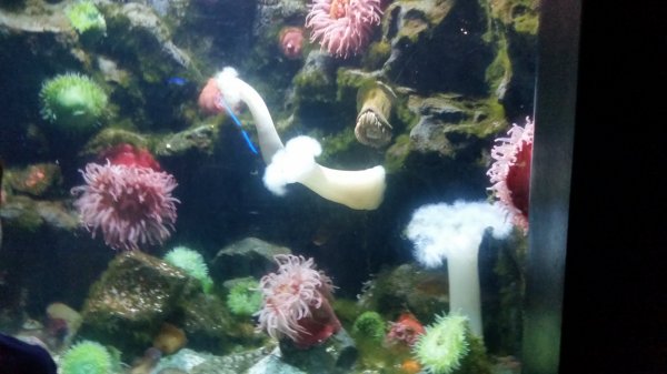 20150130_115119.jpg