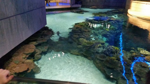 20150130_113602.jpg