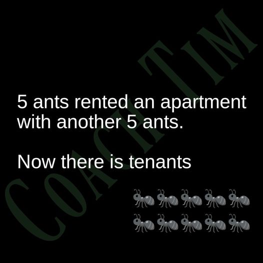 10 ants.jpg