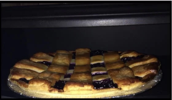 AlladinCountourPieWarmer4-BlueberryPie.jpg