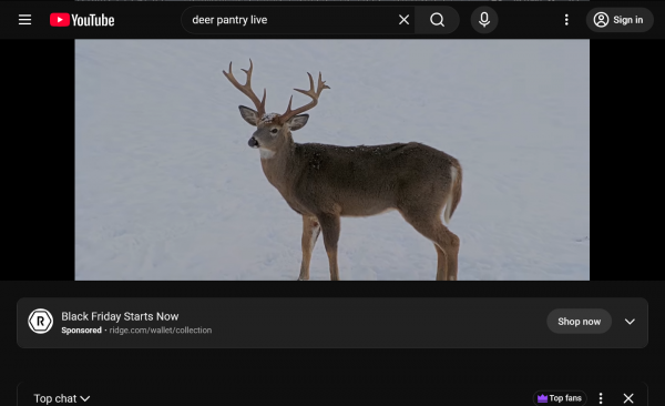 Screenshot 2025-12-08 at 22-04-05 Brownville's Food Pantry For Deer Richard's PTZ - YouTube.png