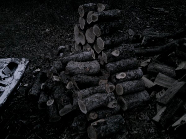 DSCF0454.JPG